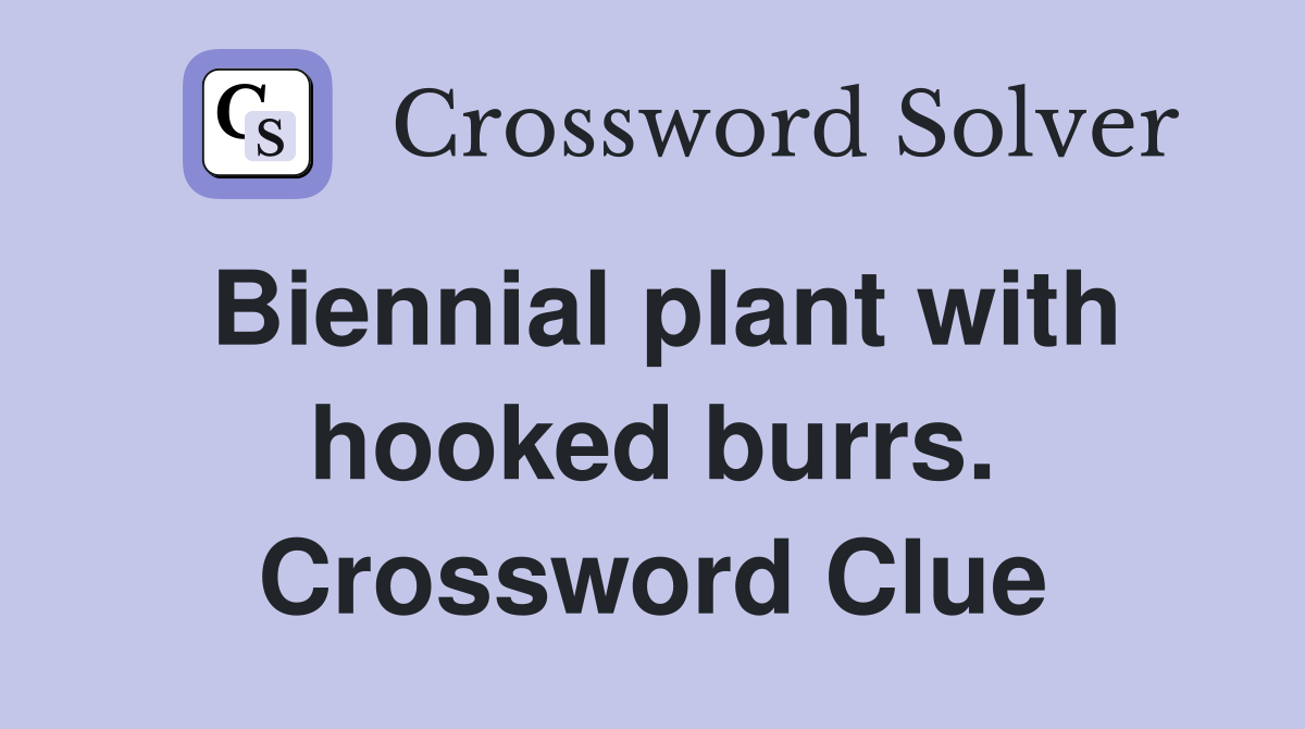 Biennial plant with hooked burrs. Crossword Clue
