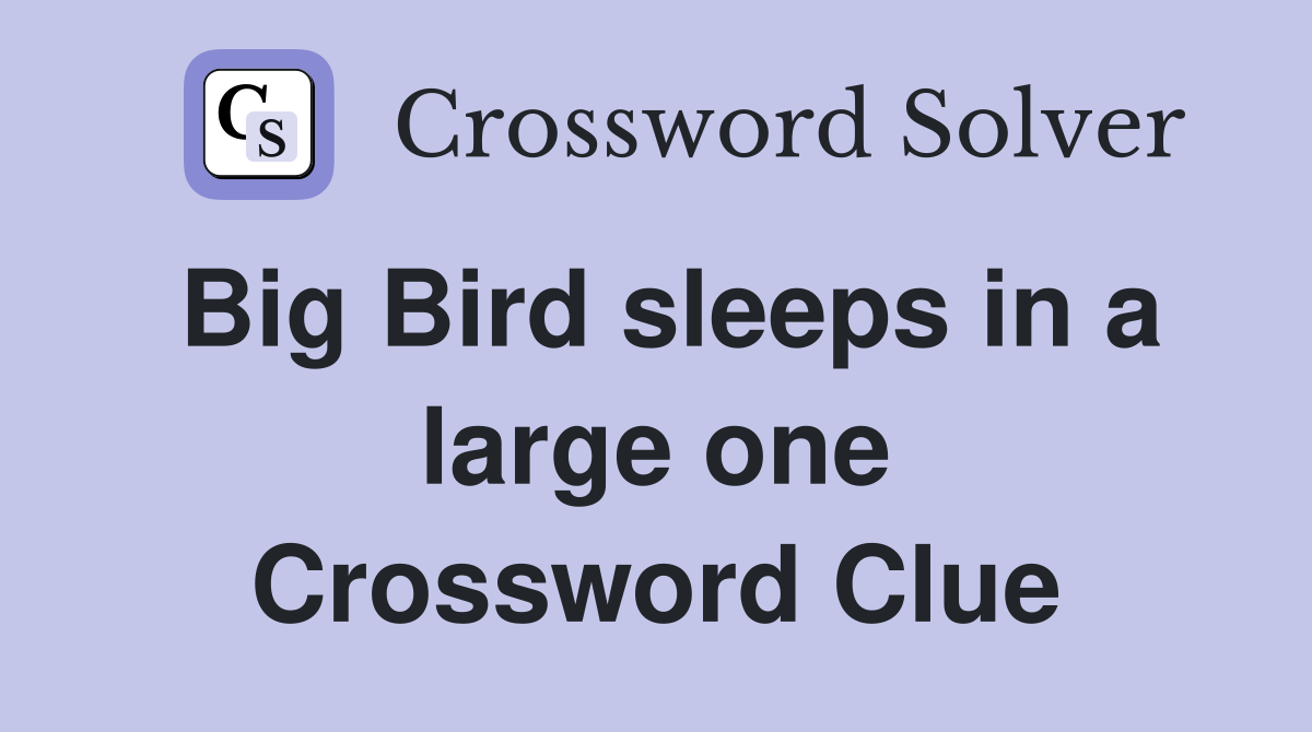Big Bird sleeps in a large one Crossword Clue
