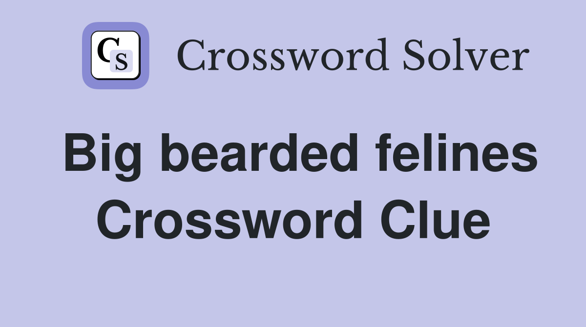 Big bearded felines Crossword Clue