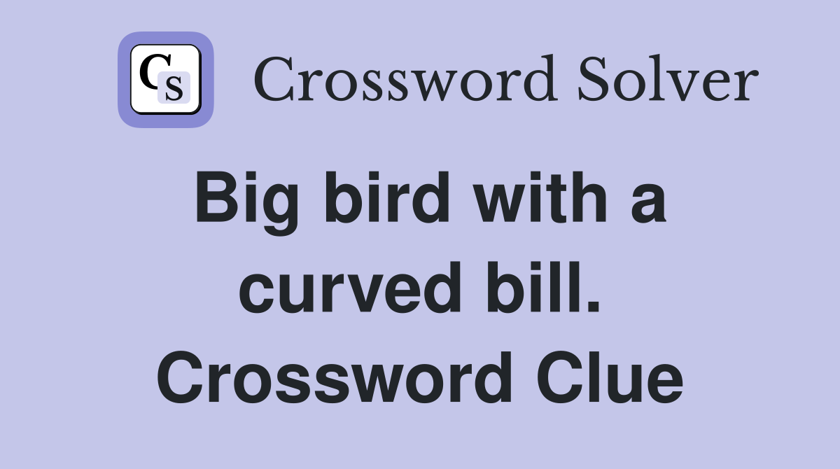 Big bird with a curved bill. Crossword Clue