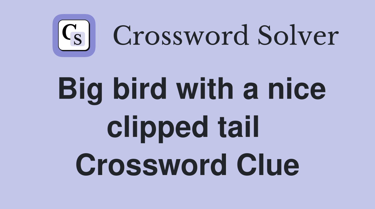 Big bird with a nice clipped tail  Crossword Clue
