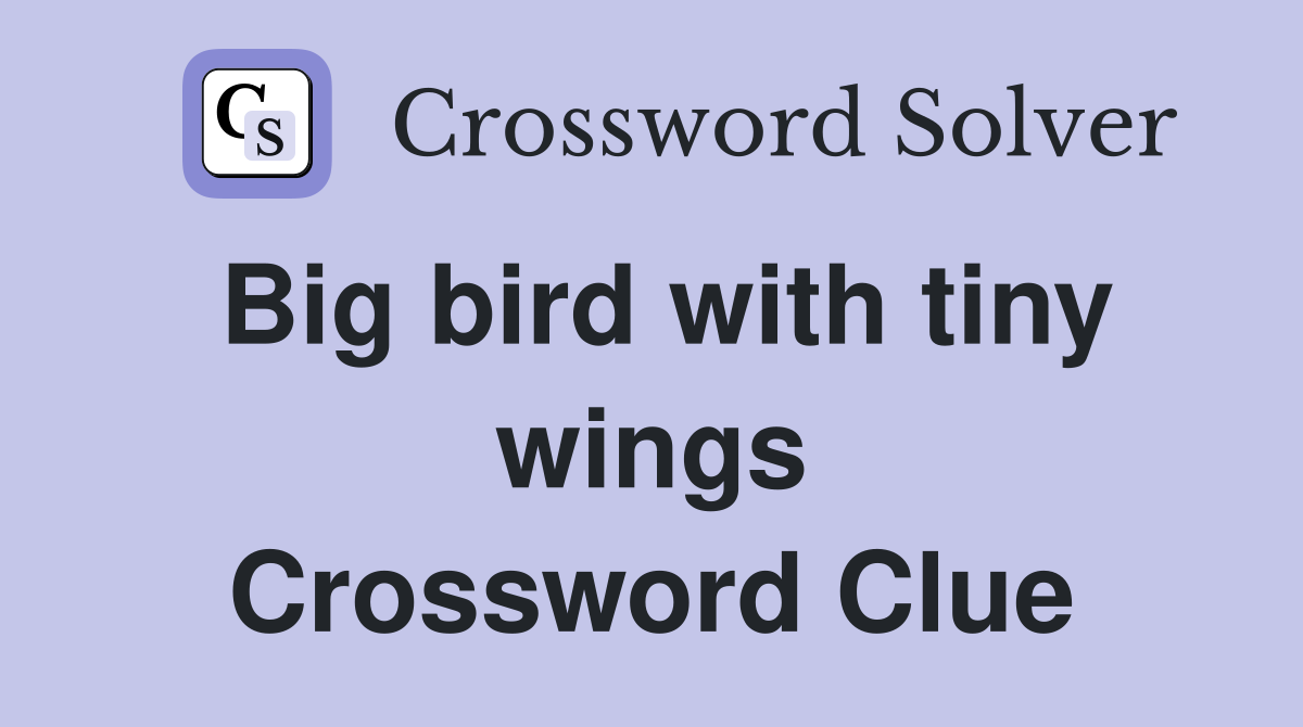 Big bird with tiny wings Crossword Clue