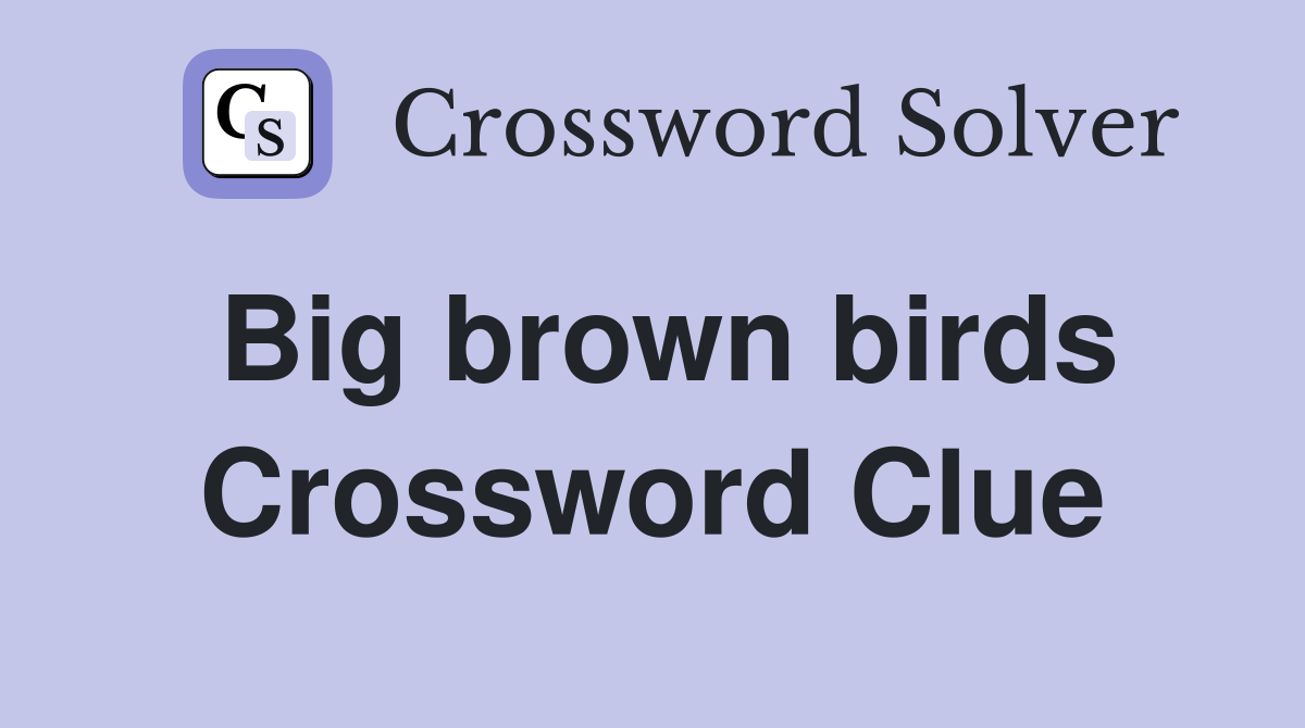 Big brown birds Crossword Clue