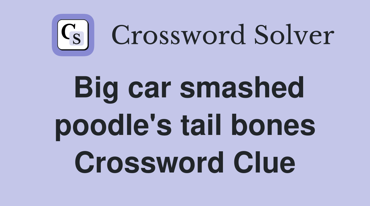 Big car smashed poodle's tail bones Crossword Clue