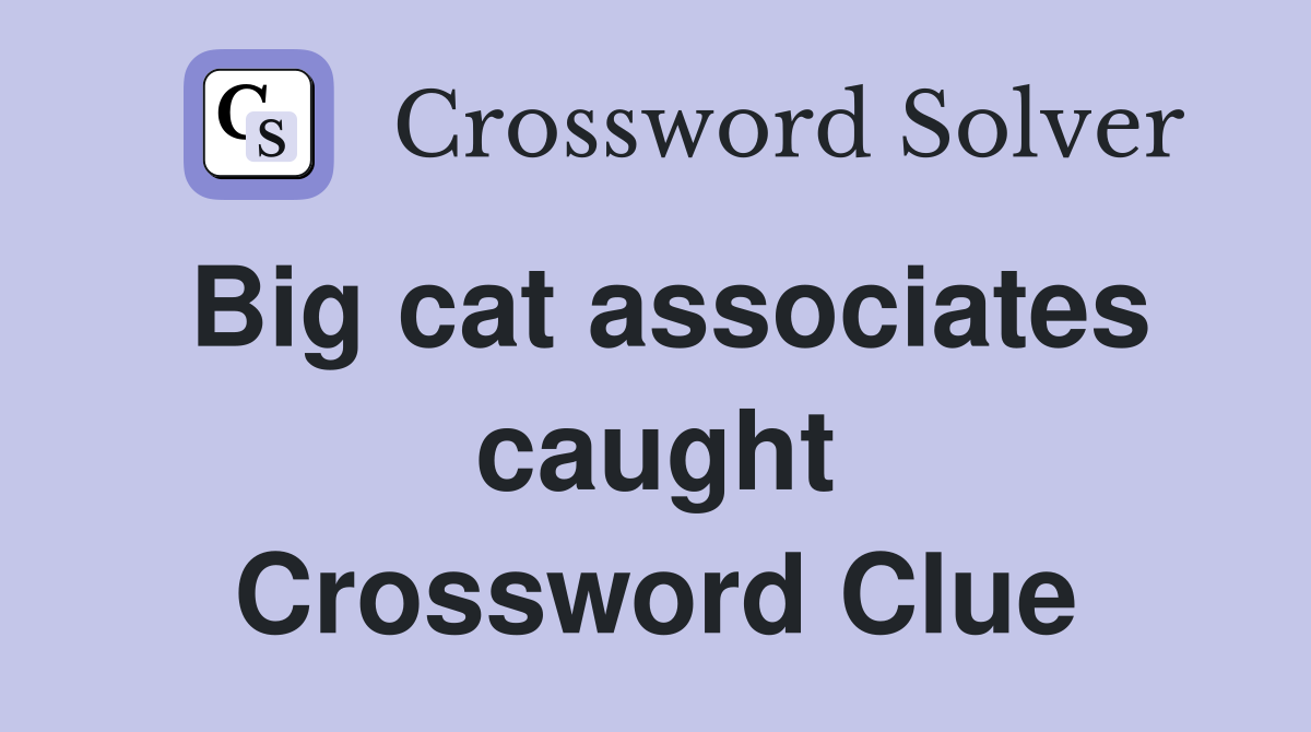 Big cat associates caught Crossword Clue
