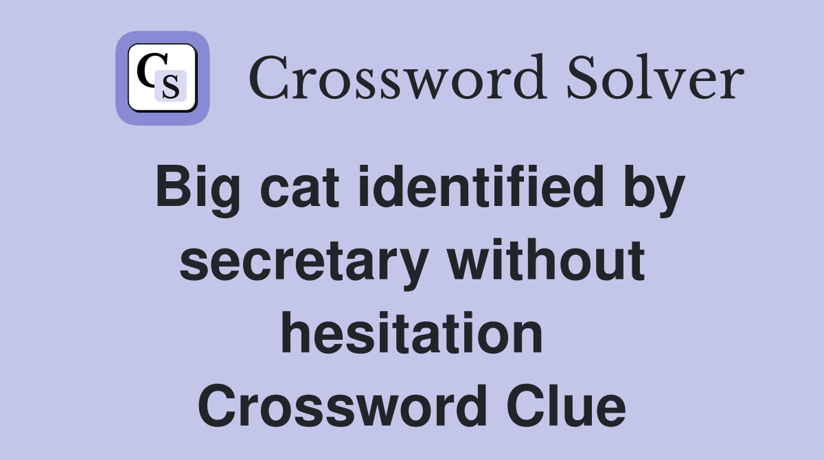 Big cat identified by secretary without hesitation Crossword Clue