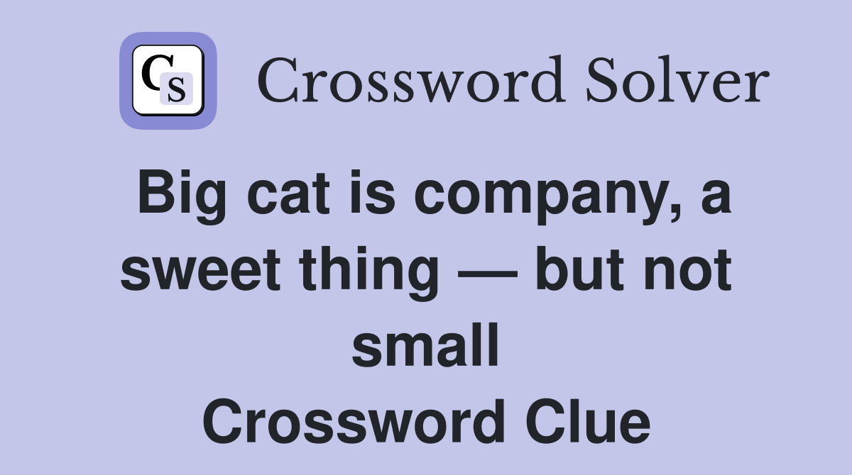Big cat is company, a sweet thing — but not small Crossword Clue