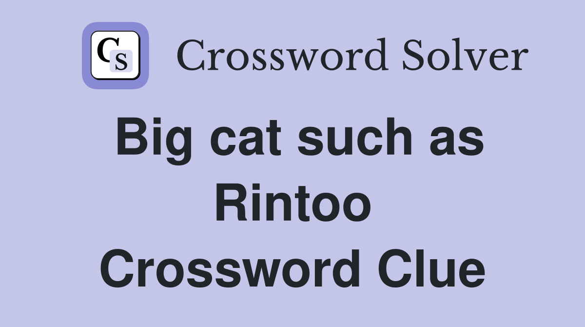 Big cat such as Rintoo Crossword Clue