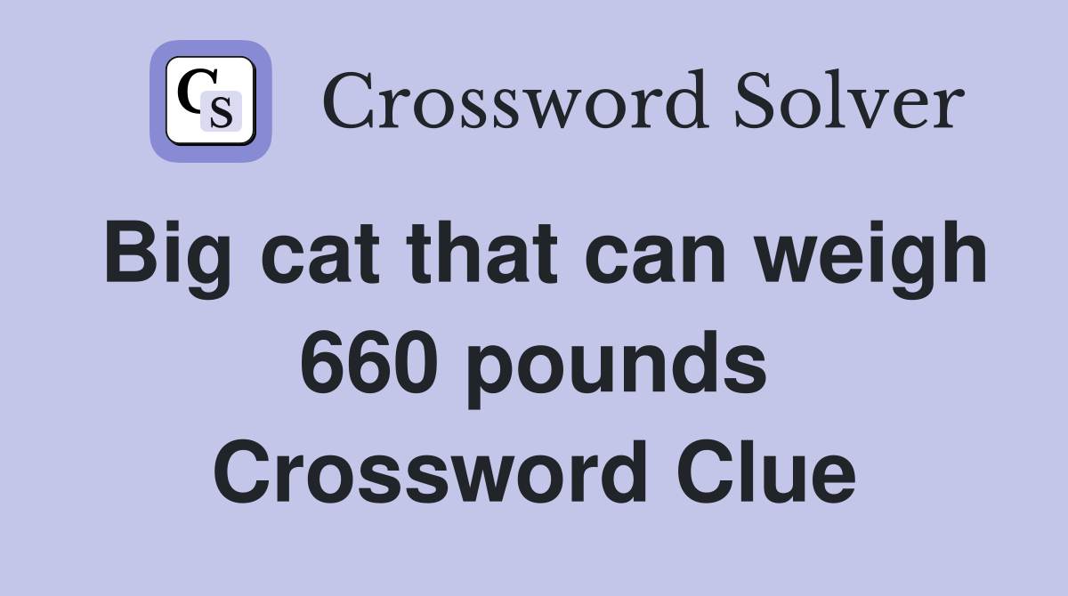 Big cat that can weigh 660 pounds Crossword Clue