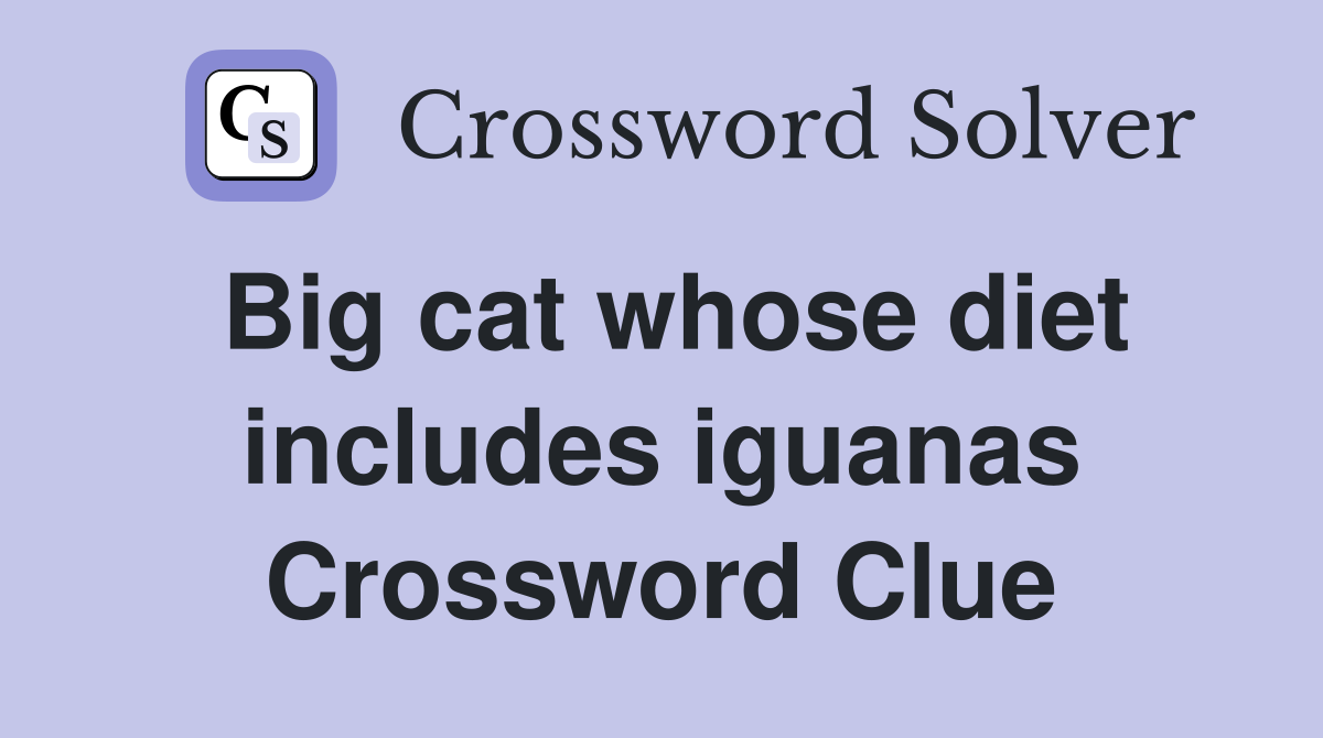 Big cat whose diet includes iguanas Crossword Clue
