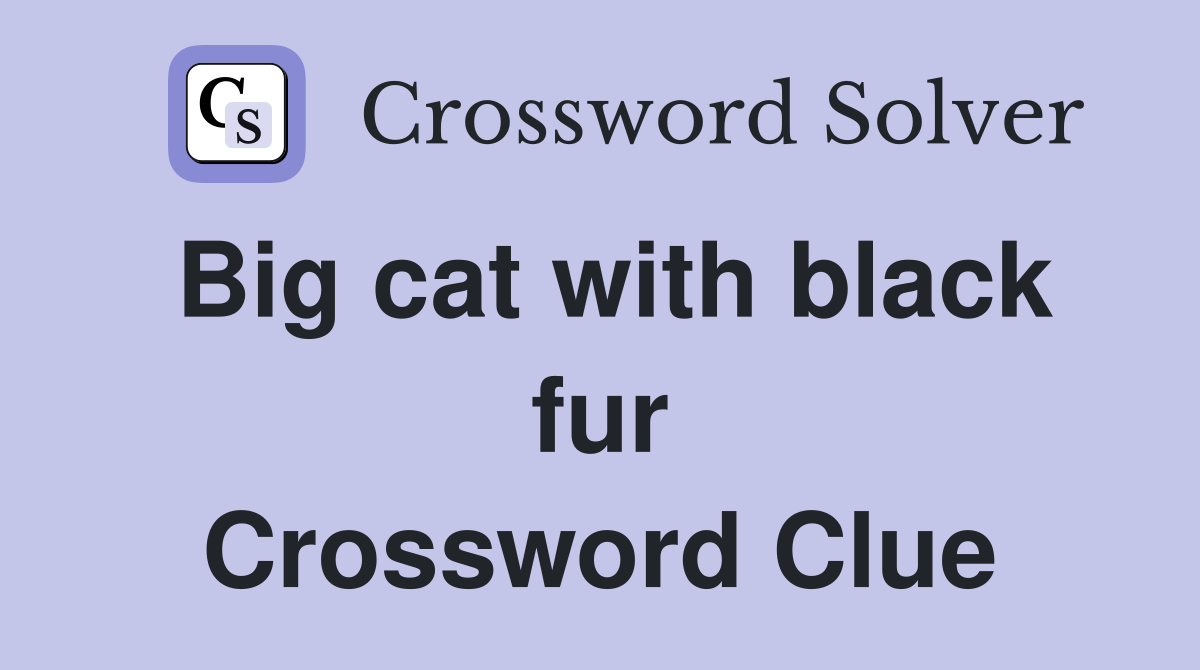 Big cat with black fur Crossword Clue