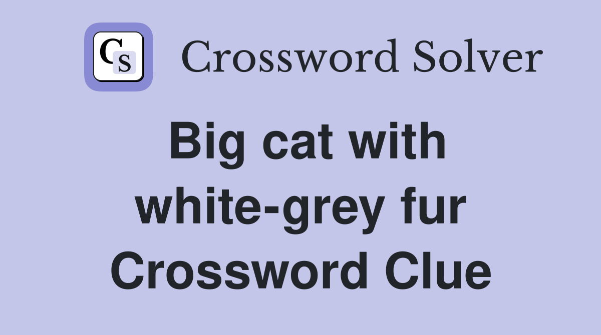Big cat with white-grey fur Crossword Clue