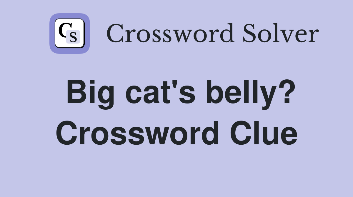 Big cat's belly? Crossword Clue