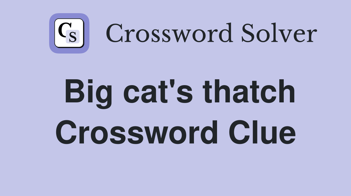 Big cat's thatch Crossword Clue