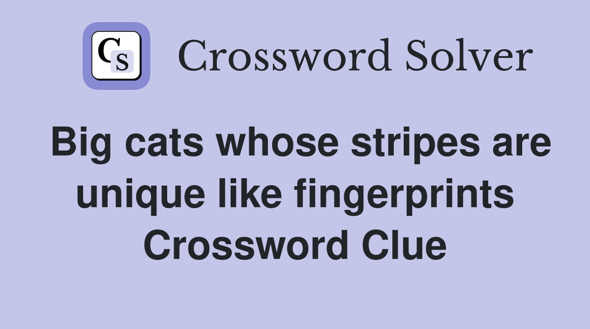 Big cats whose stripes are unique like fingerprints Crossword Clue