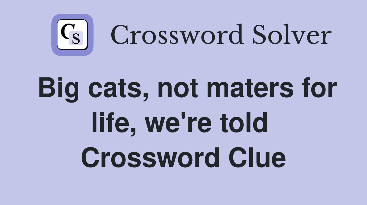 Big cats, not maters for life, we're told  Crossword Clue