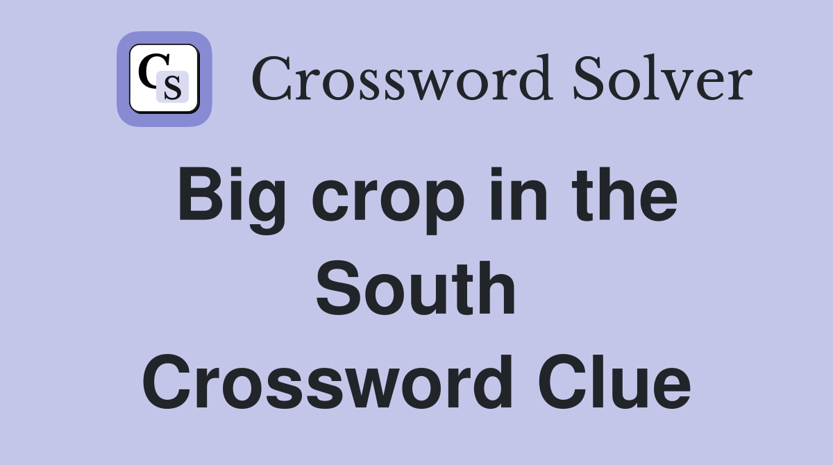 Big crop in the South Crossword Clue