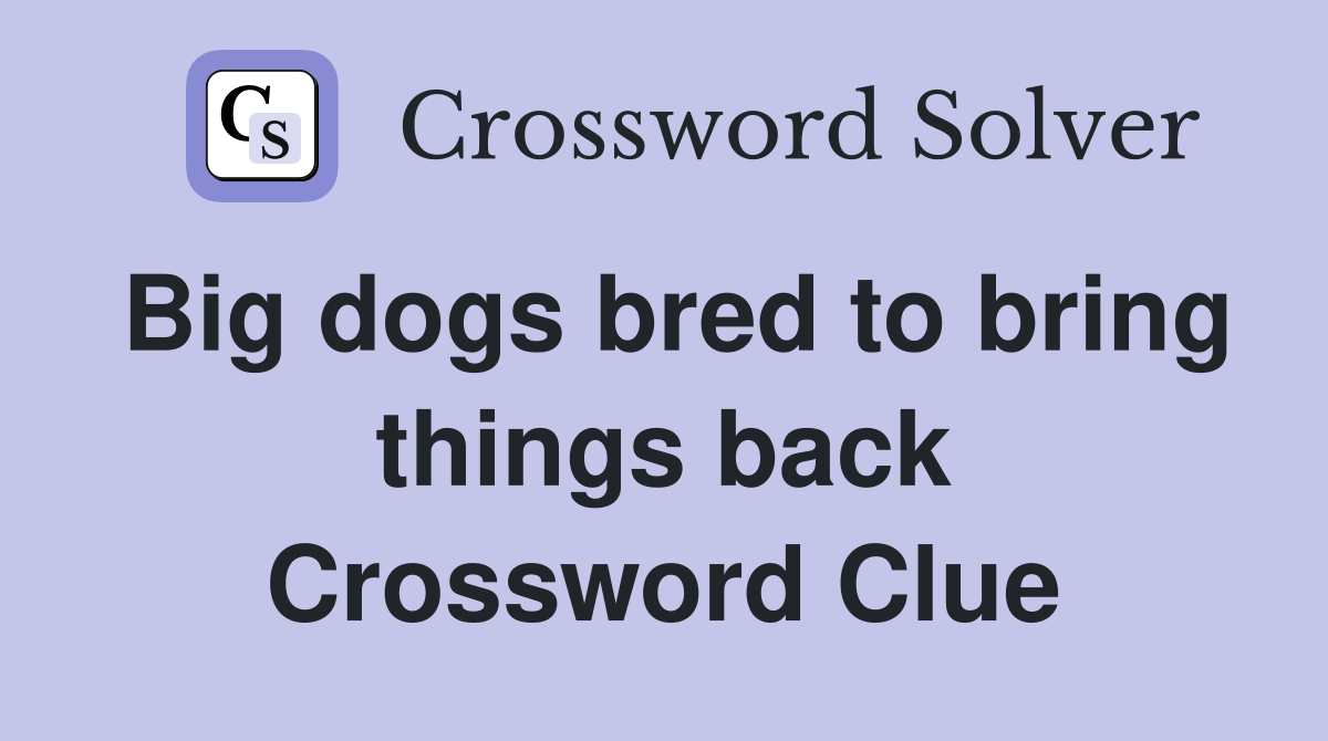 Big dogs bred to bring things back Crossword Clue