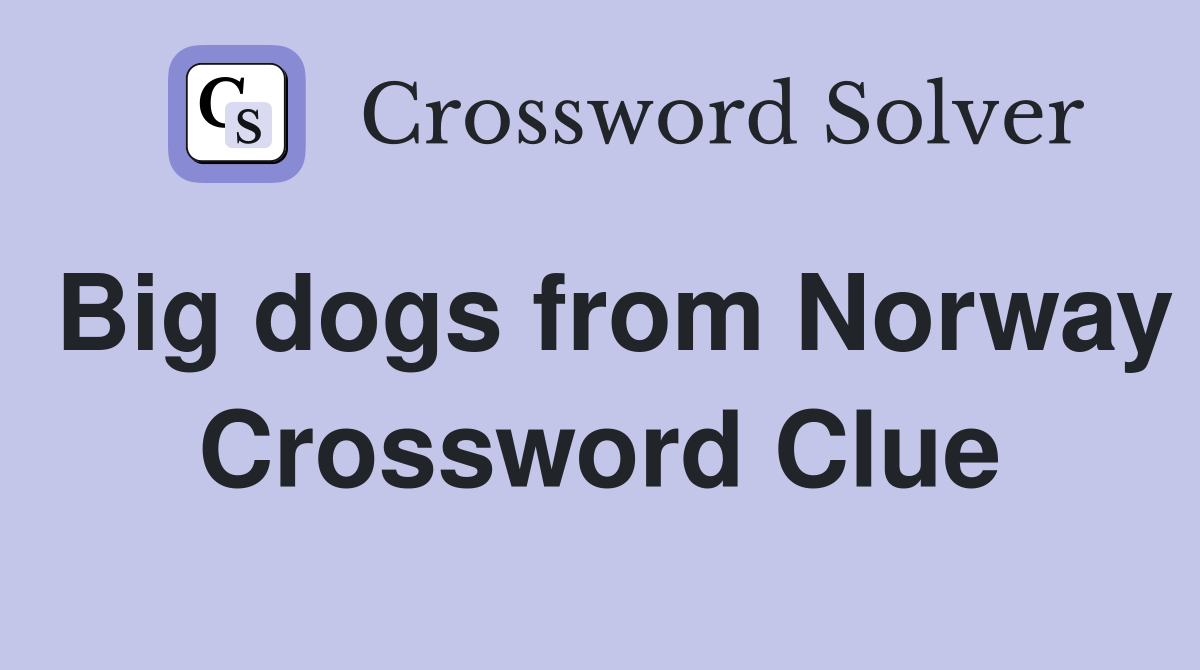 Big dogs from Norway Crossword Clue