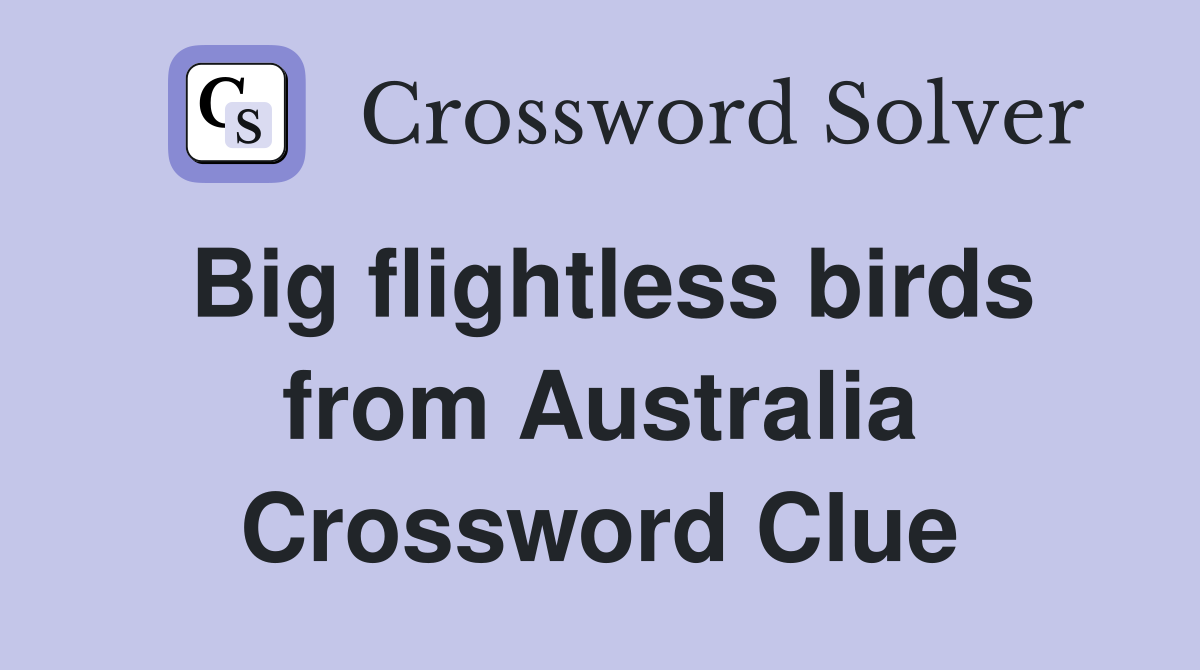 Big flightless birds from Australia Crossword Clue