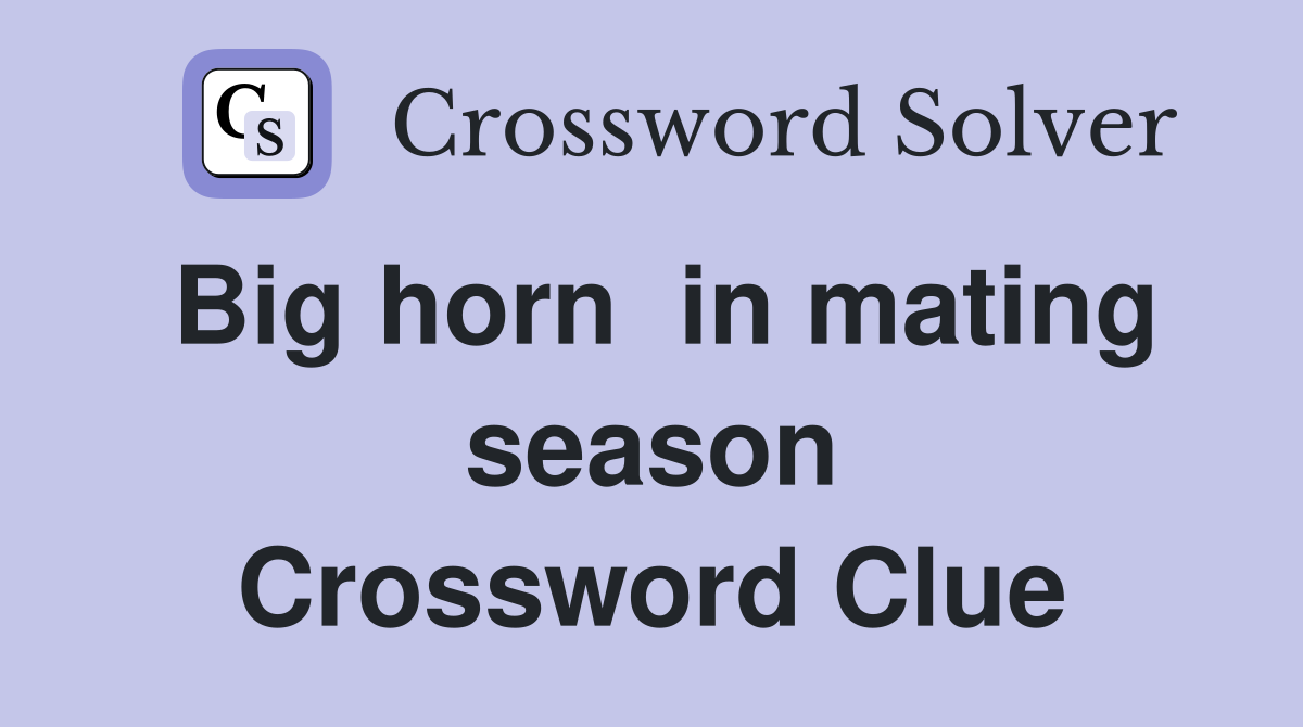 Big horn  in mating season Crossword Clue