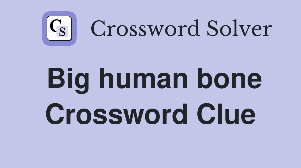 Big human bone Crossword Clue