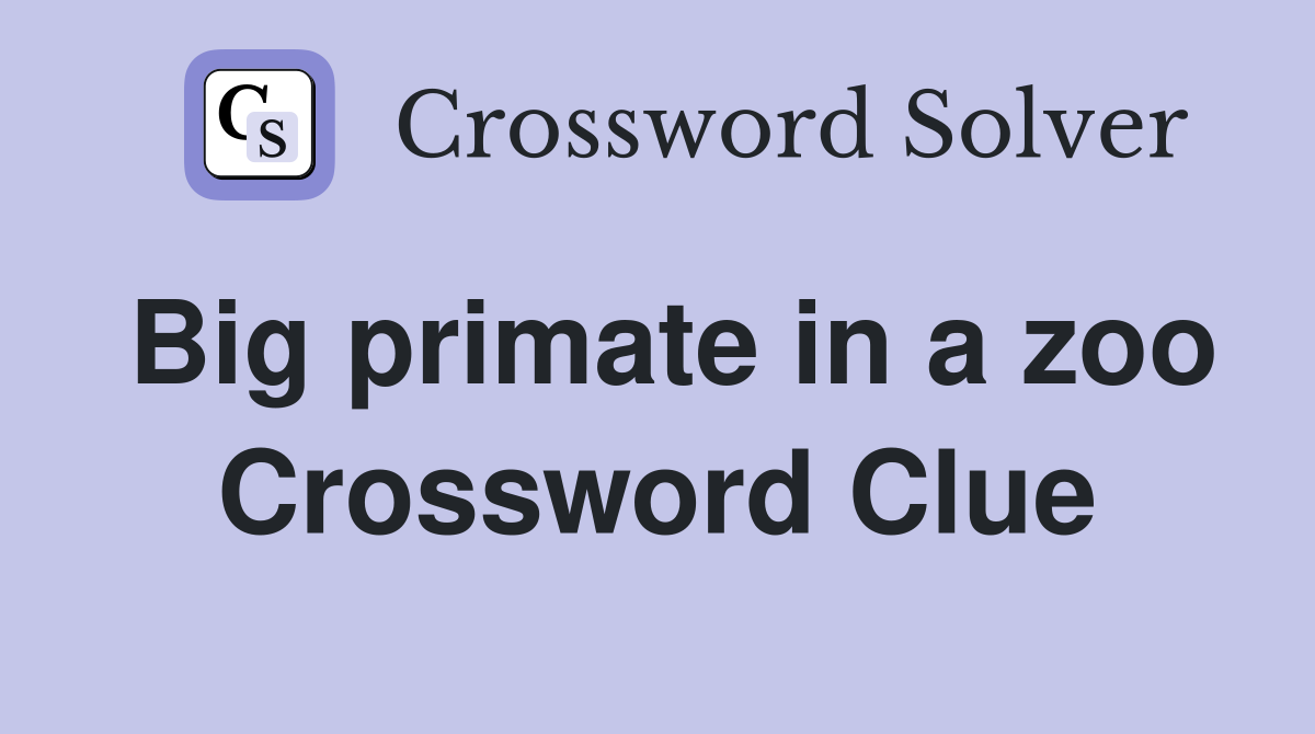 Big primate in a zoo Crossword Clue