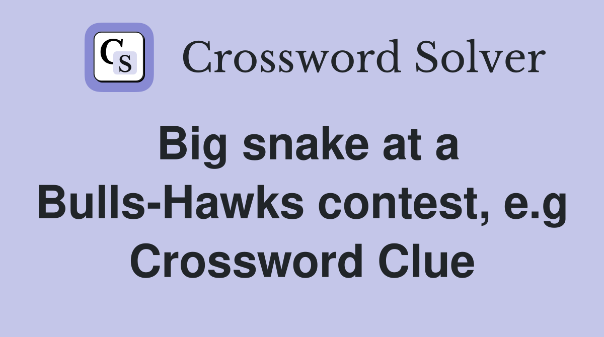 Big snake at a Bulls-Hawks contest, e.g Crossword Clue
