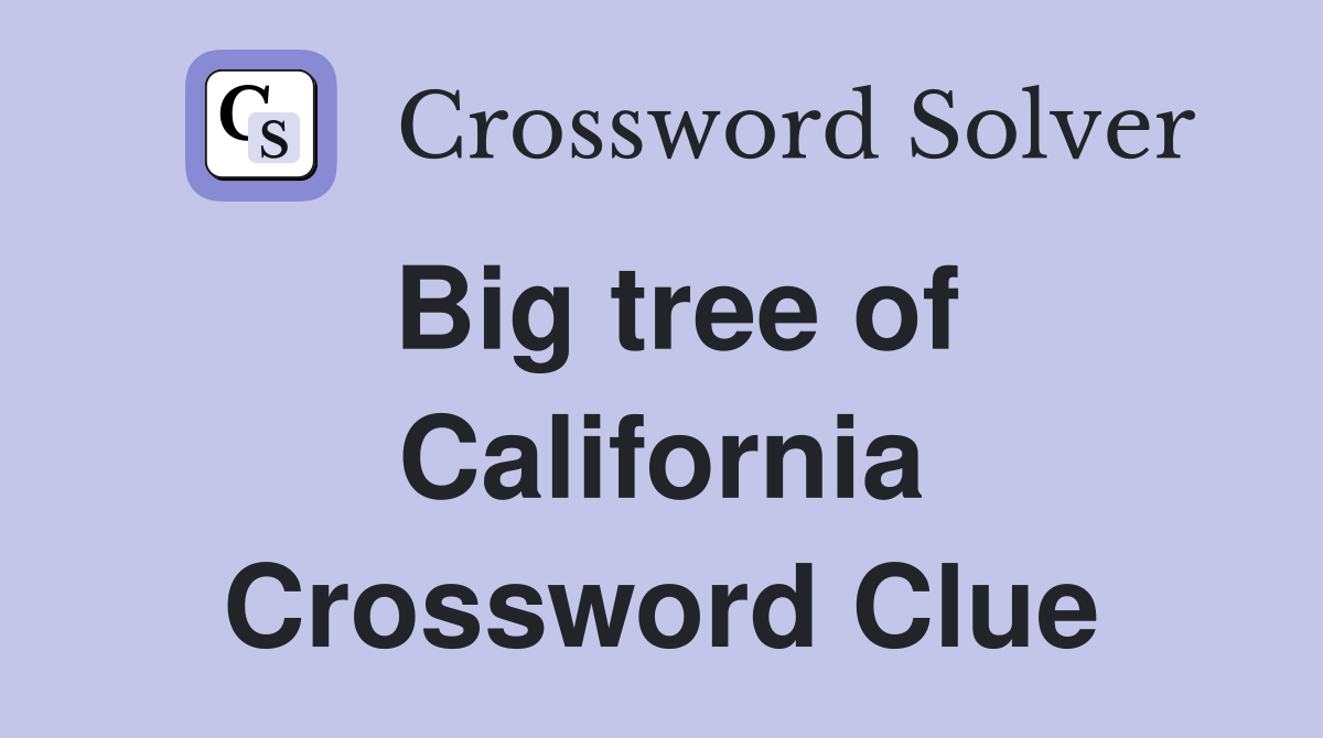 Big tree of California Crossword Clue