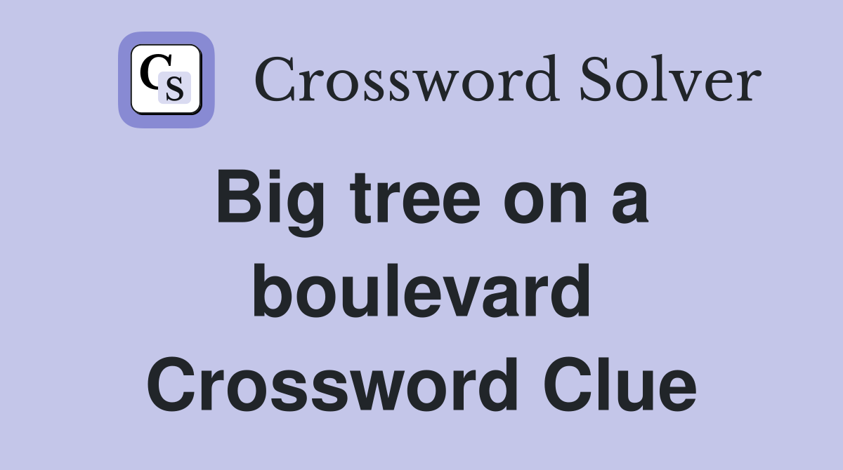Big tree on a boulevard Crossword Clue