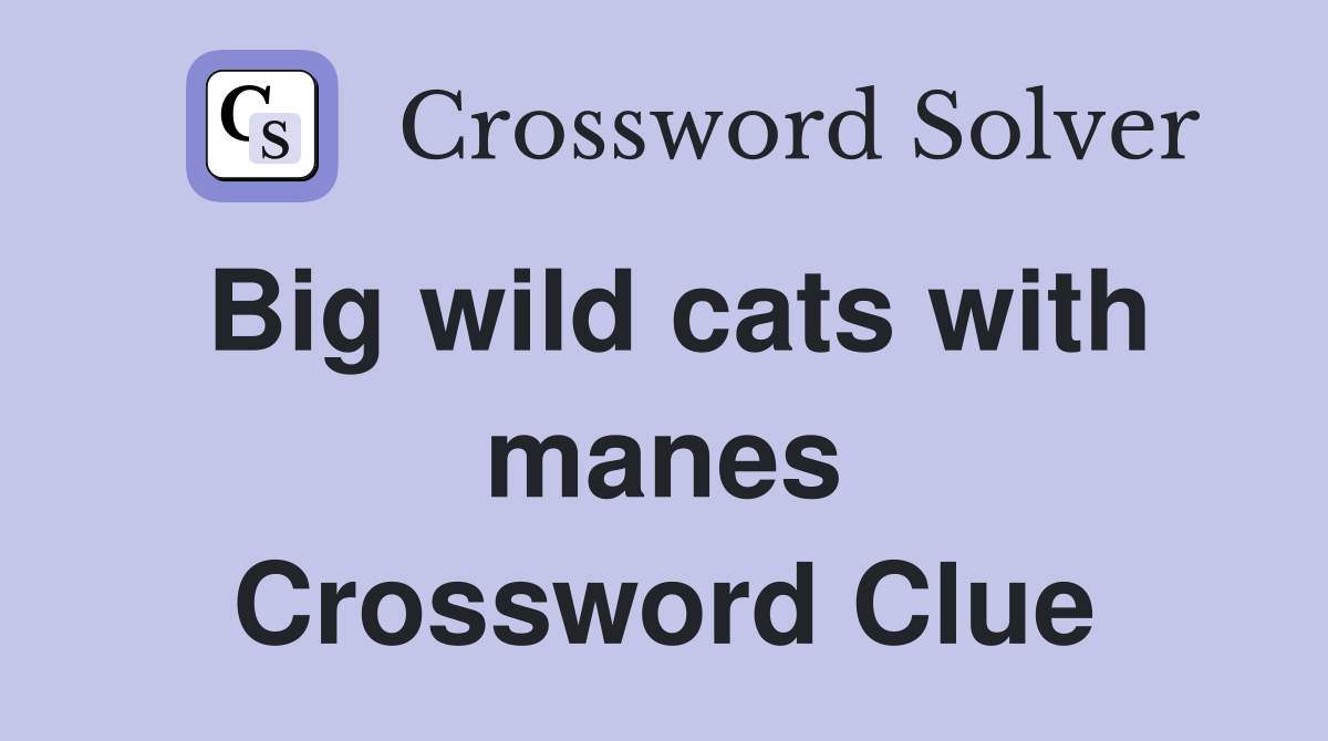Big wild cats with manes Crossword Clue