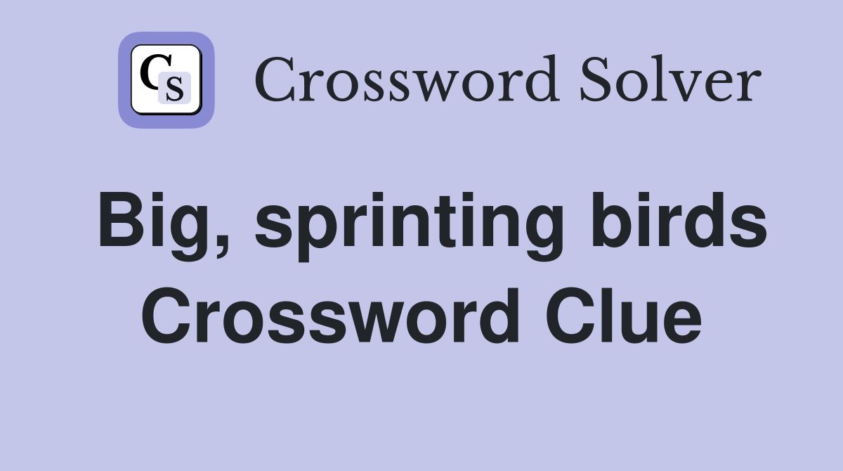 Big, sprinting birds Crossword Clue