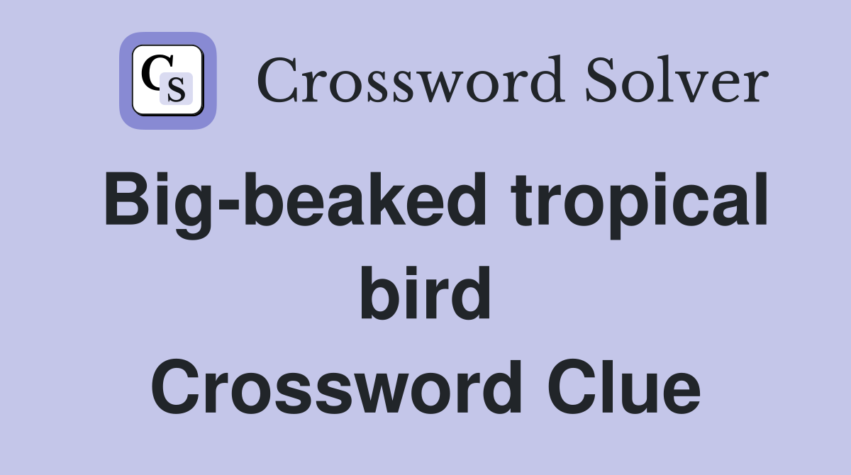 Big-beaked tropical bird Crossword Clue