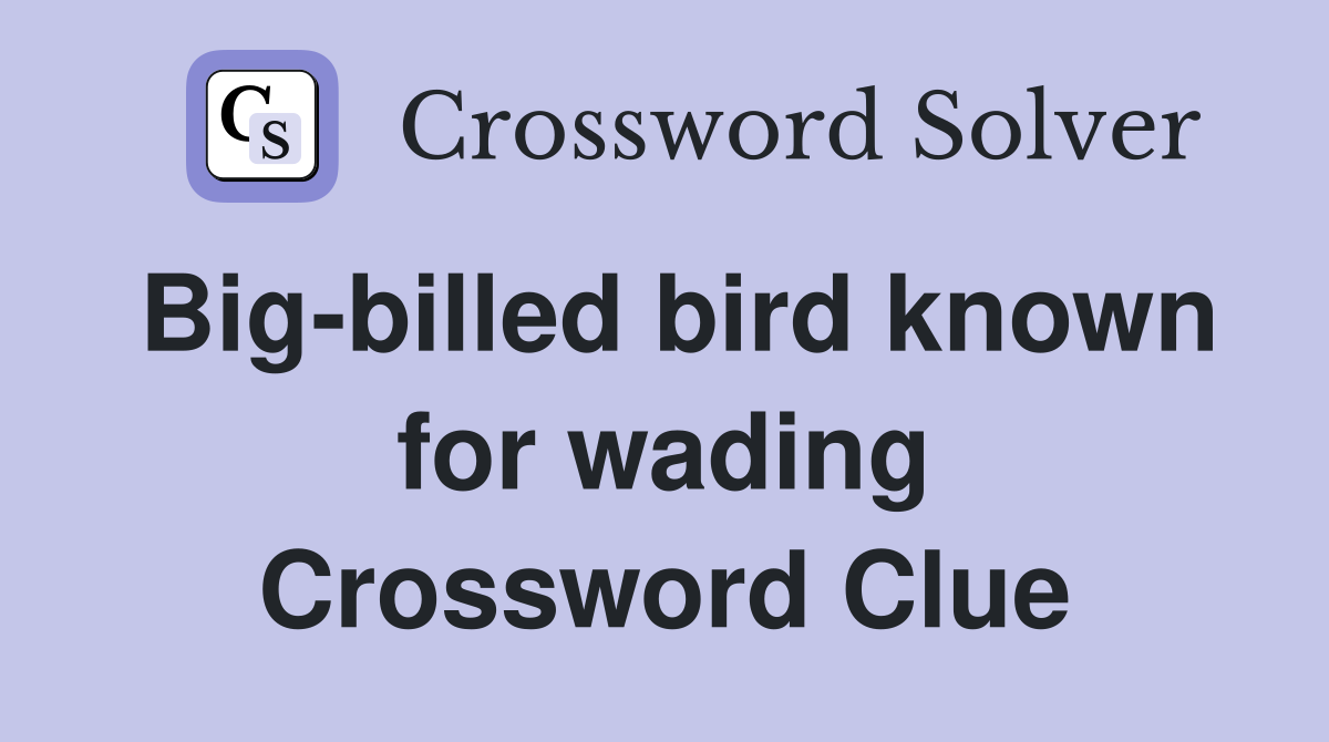 Big-billed bird known for wading Crossword Clue