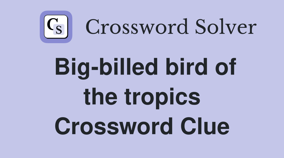 Big-billed bird of the tropics Crossword Clue