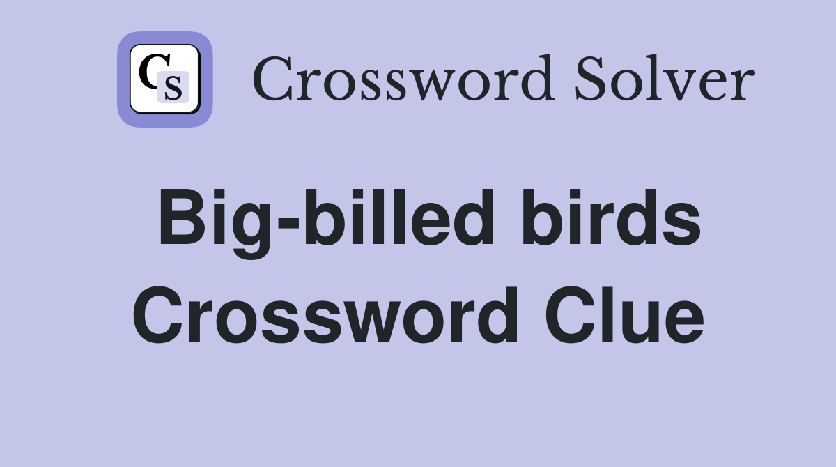 Big-billed birds Crossword Clue