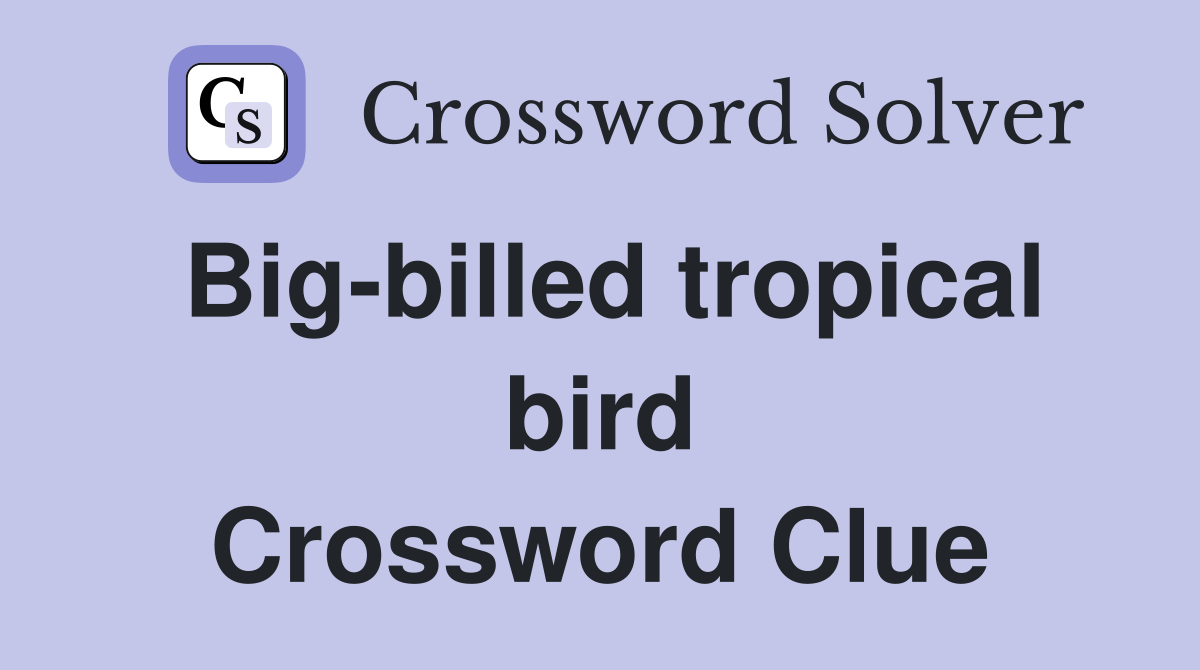 Big-billed tropical bird Crossword Clue