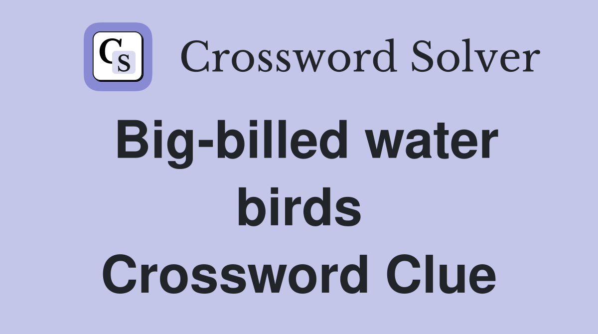 Big-billed water birds Crossword Clue