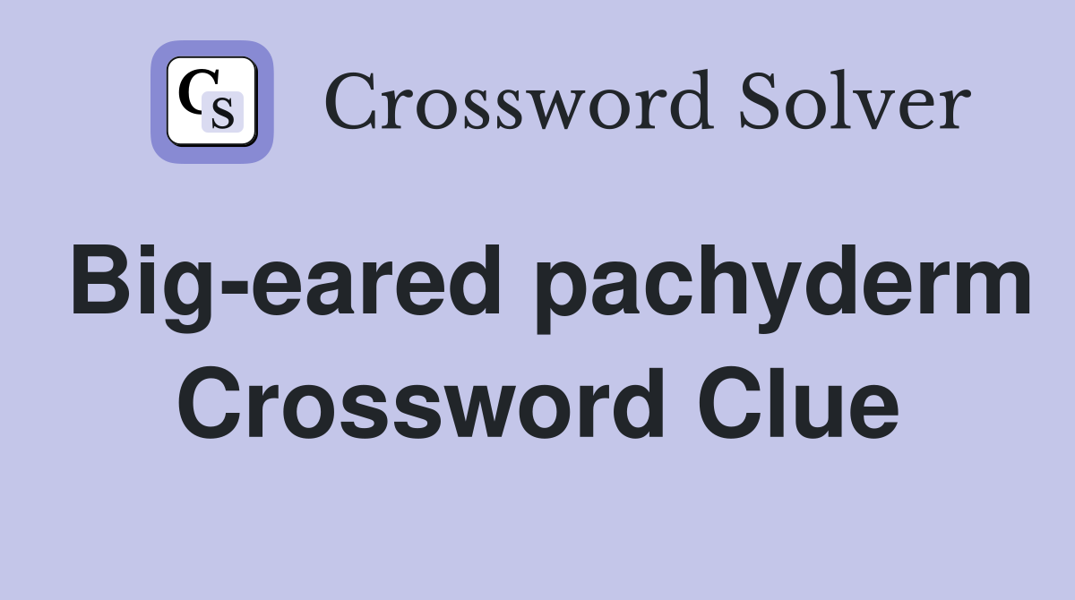 Big-eared pachyderm Crossword Clue