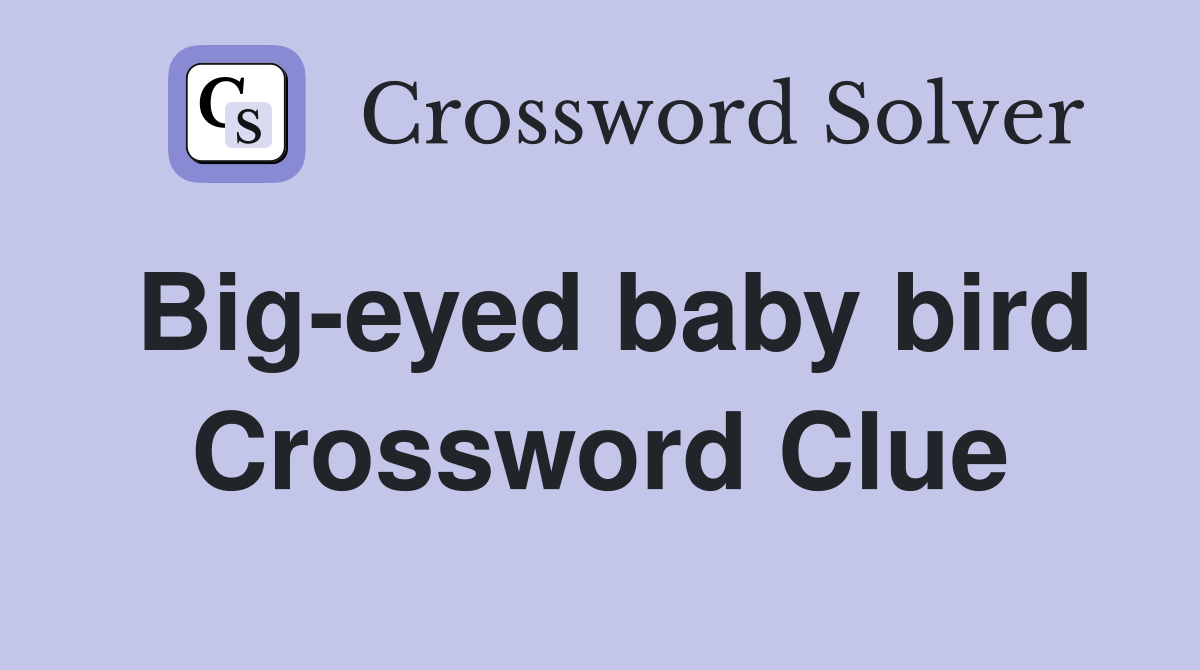 Big-eyed baby bird Crossword Clue
