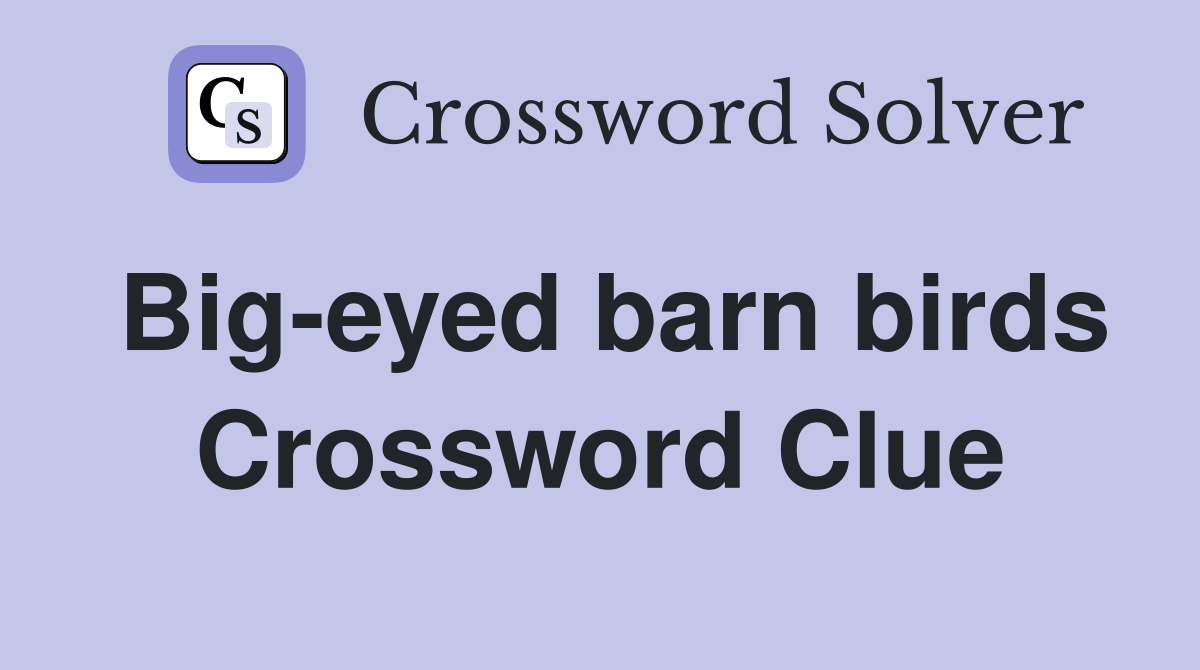 Big-eyed barn birds Crossword Clue