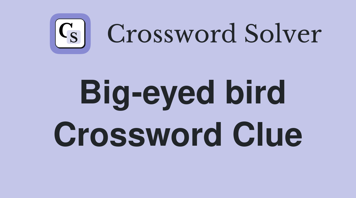 Big-eyed bird Crossword Clue