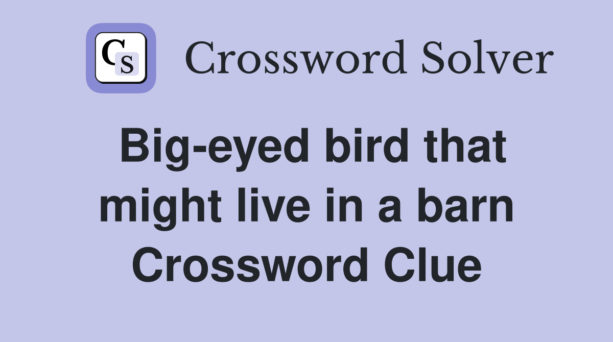 Big-eyed bird that might live in a barn Crossword Clue