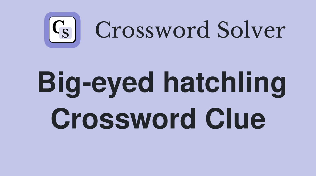 Big-eyed hatchling Crossword Clue