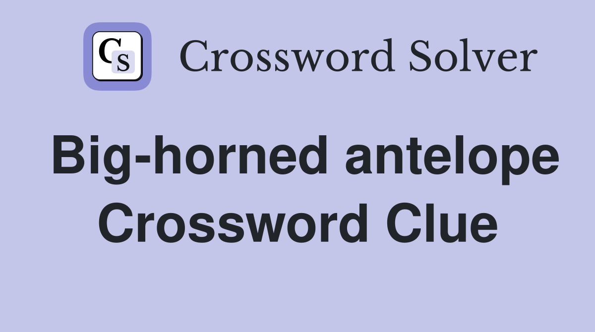 Big-horned antelope Crossword Clue