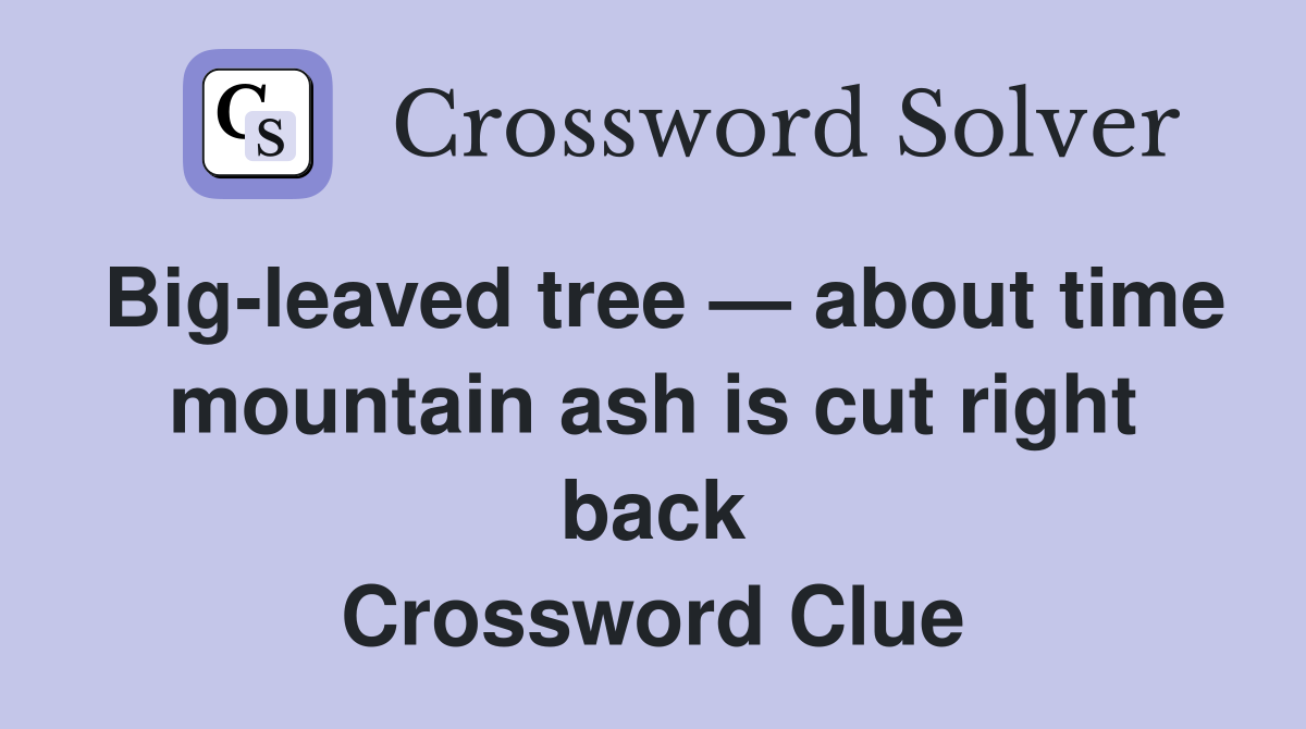 Big-leaved tree — about time mountain ash is cut right back Crossword Clue