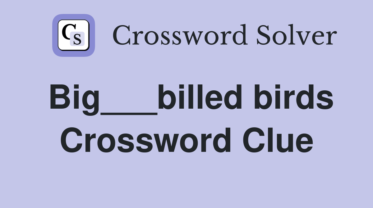 Big___billed birds Crossword Clue