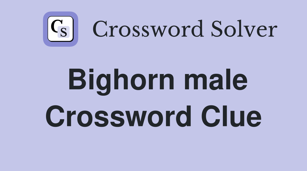 Bighorn male Crossword Clue