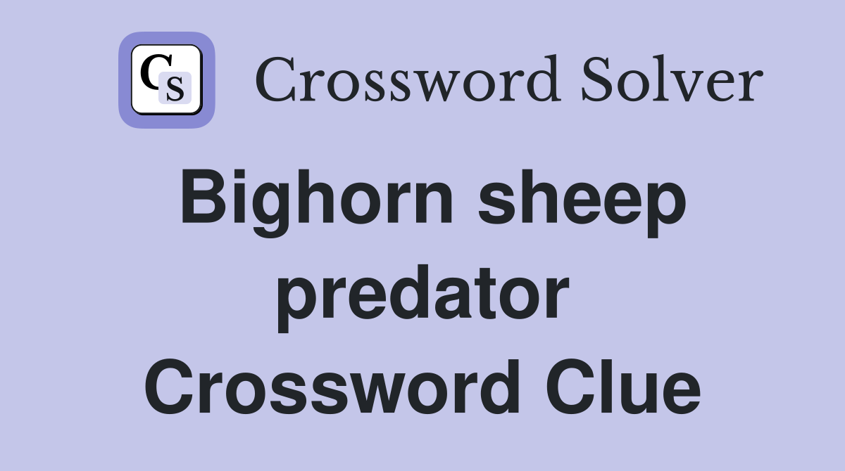 Bighorn sheep predator Crossword Clue