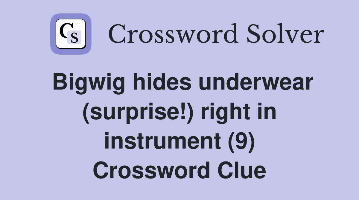 Bigwig hides underwear (surprise!) right in instrument (9) Crossword Clue
